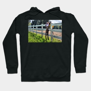 Saddle on the Fence Hoodie